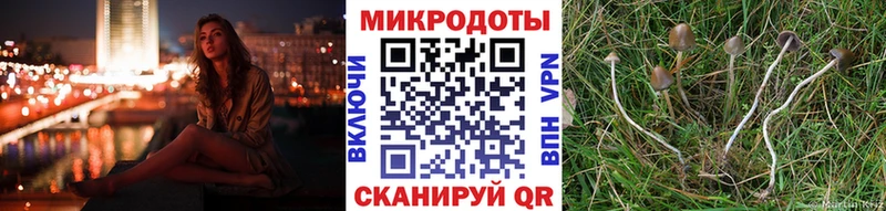 Псилоцибиновые грибы Cubensis Спас-Деменск